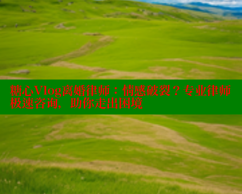 糖心Vlog离婚律师：情感破裂？专业律师极速咨询，助你走出困境 糖心vlog免费版 第1张