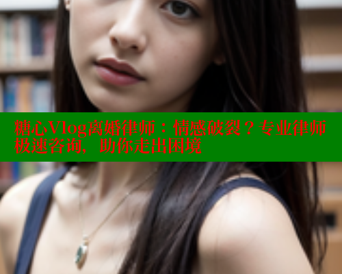 糖心Vlog离婚律师：情感破裂？专业律师极速咨询，助你走出困境 糖心vlog免费版 第2张