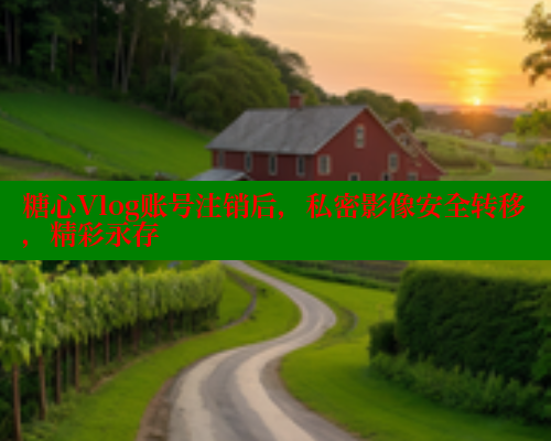 糖心Vlog账号注销后，私密影像安全转移，精彩永存 糖心vlog免费版 第1张