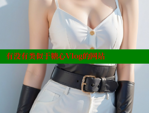 有没有类似于糖心Vlog的网站
