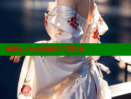 求糖心vlog破解版百度网盘