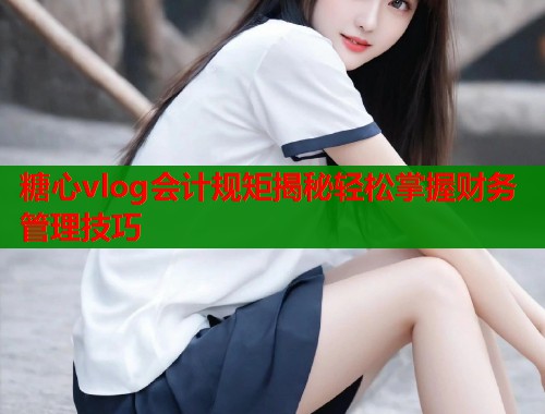 糖心vlog会计规矩揭秘轻松掌握财务管理技巧  第2张