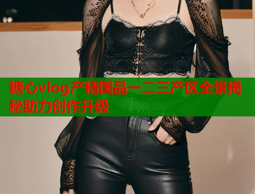 糖心vlog产精国品一二三产区全景揭秘助力创作升级