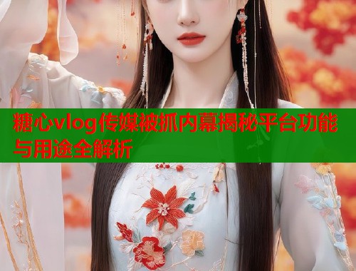 糖心vlog传媒被抓内幕揭秘平台功能与用途全解析