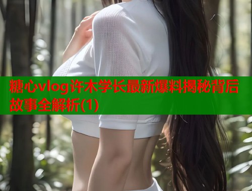 糖心vlog许木学长最新爆料揭秘背后故事全解析(1)